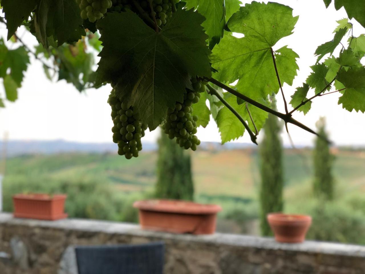Agriturismo L'Olmo San Gimignano Exterior foto